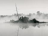 Tiny Island In Mist_19875